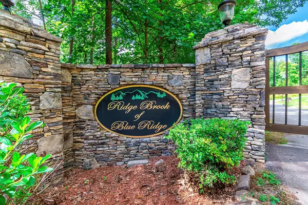 Morganton, GA 30560,Lot 12 Meadow Brook Trail