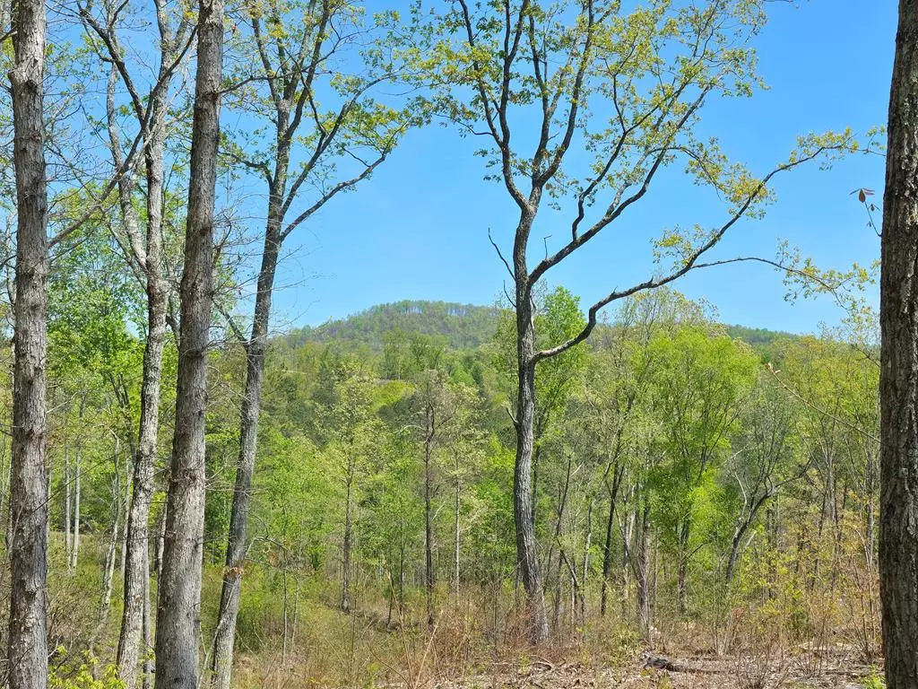 Talking Rock, GA 30175,Lot 209 Oak Park Drive
