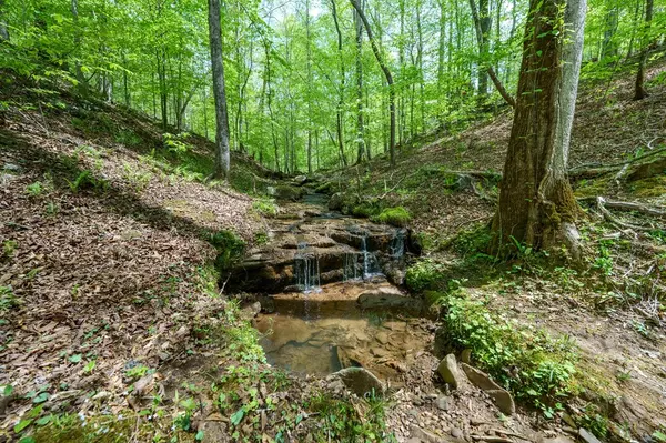 Ellijay, GA 30540,285 Julep Circle