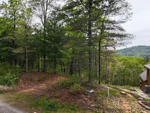 Mineral Bluff, GA 30559,Lot 20 Crabapple Lane