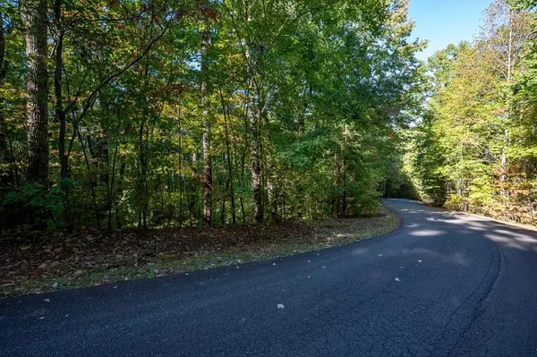 Ellijay, GA 30540,Lot 18 Dover Highlands Trail