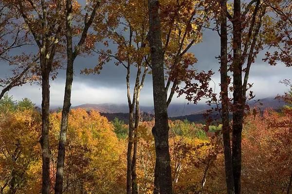 Ellijay, GA 30540,Lot 18 Dover Highlands Trail