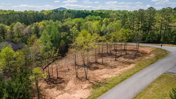 Blairsville, GA 30512,Lot 41 Sandy Lake Lane