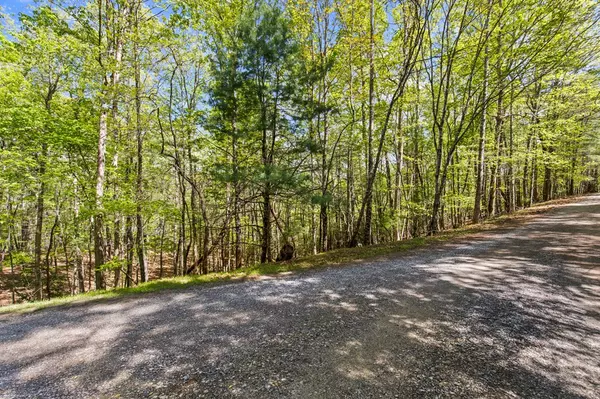 Blue Ridge, GA 30513,.75 Acre Chinkapin Drive