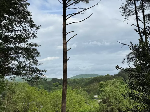 East Ellijay, GA 30540,0 Hill Street