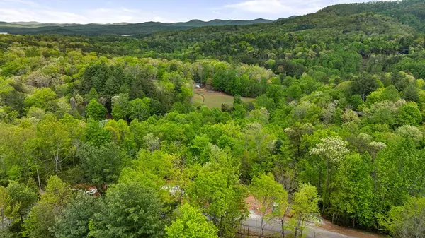 Tract B Deer Crest Road, Blue Ridge, GA 30513