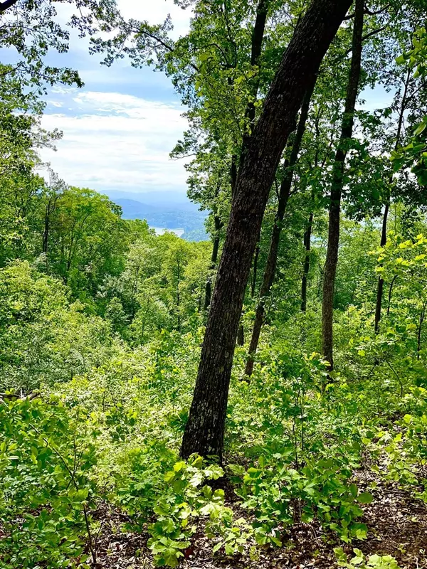 Blairsville, GA 30512,Lot 103 Highland Park Iii