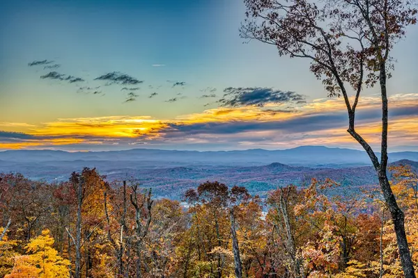 Mineral Bluff, GA 30559,18 Wawayanda Drive