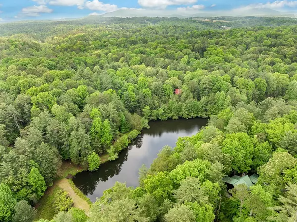 Ellijay, GA 30536,168 Spring Lake Drive