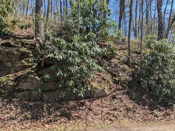 Turtletown, TN 37391,Trk 1&2 Kimsey Mountain Hwy