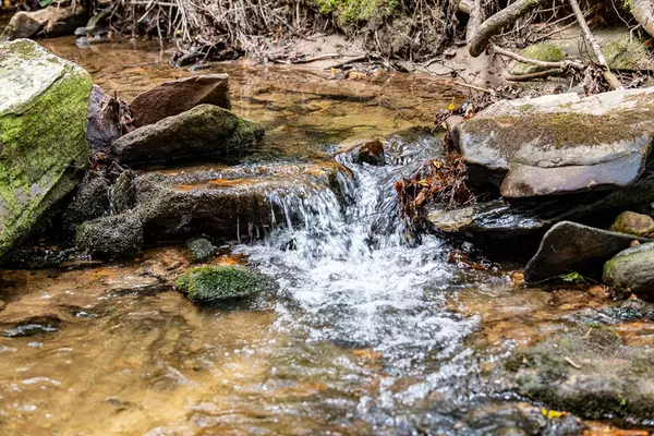 Ellijay, GA 30536,245 Old Anderson Creek