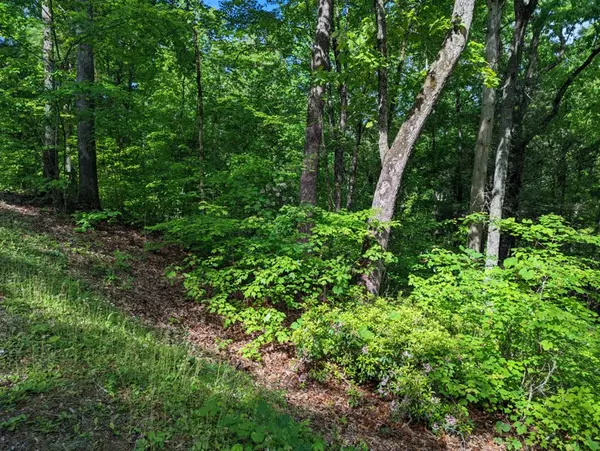 Murphy, NC 28906,Lots 1&2 Highland Road