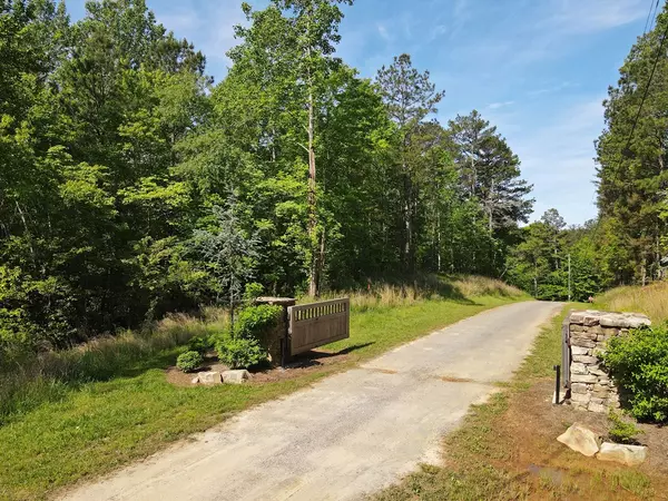 Ellijay, GA 30540,Lot 164R High River