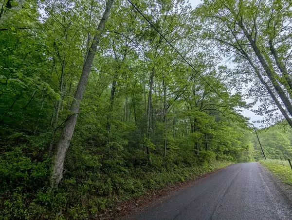 Ellijay, GA 30536,Address not disclosed