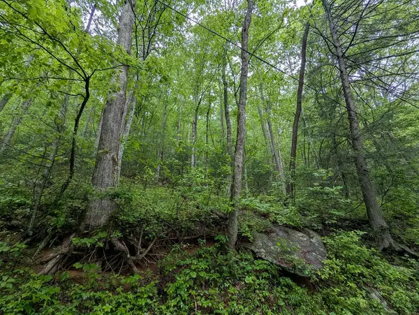Ellijay, GA 30536