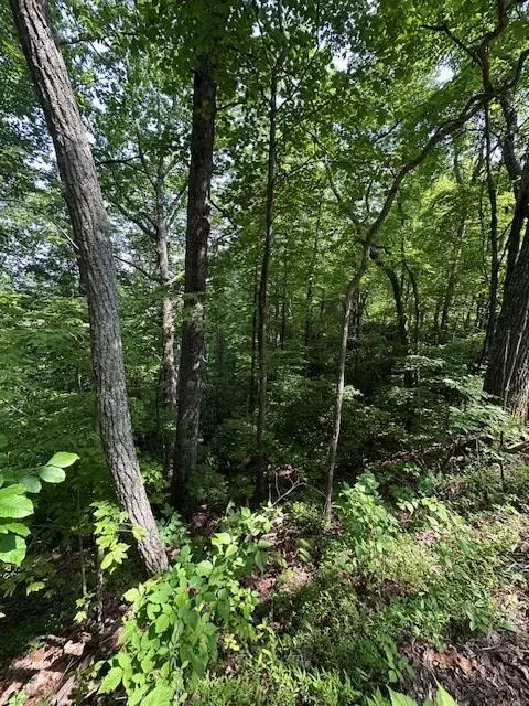 Turtletown, TN 37391,16 Ac Campbell Cove Creek