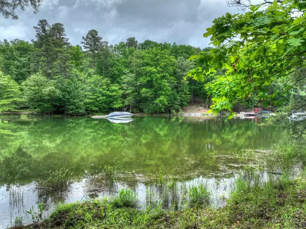 Blairsville, GA 30512,102 Captains Cove