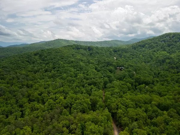 Blue Ridge, GA 30513,3.3 Acre Mangums Trail