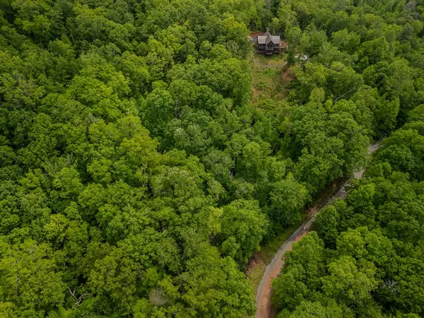 Blue Ridge, GA 30513,3.3 Acre Mangums Trail