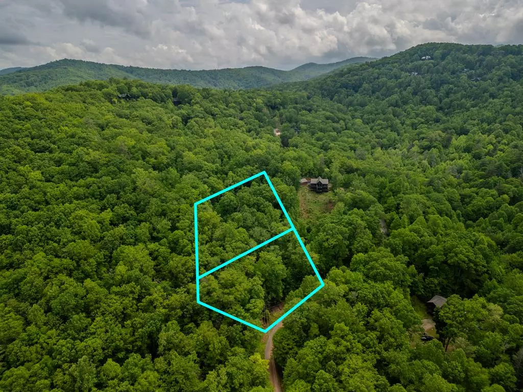 Blue Ridge, GA 30513,3.3 Acre Mangums Trail
