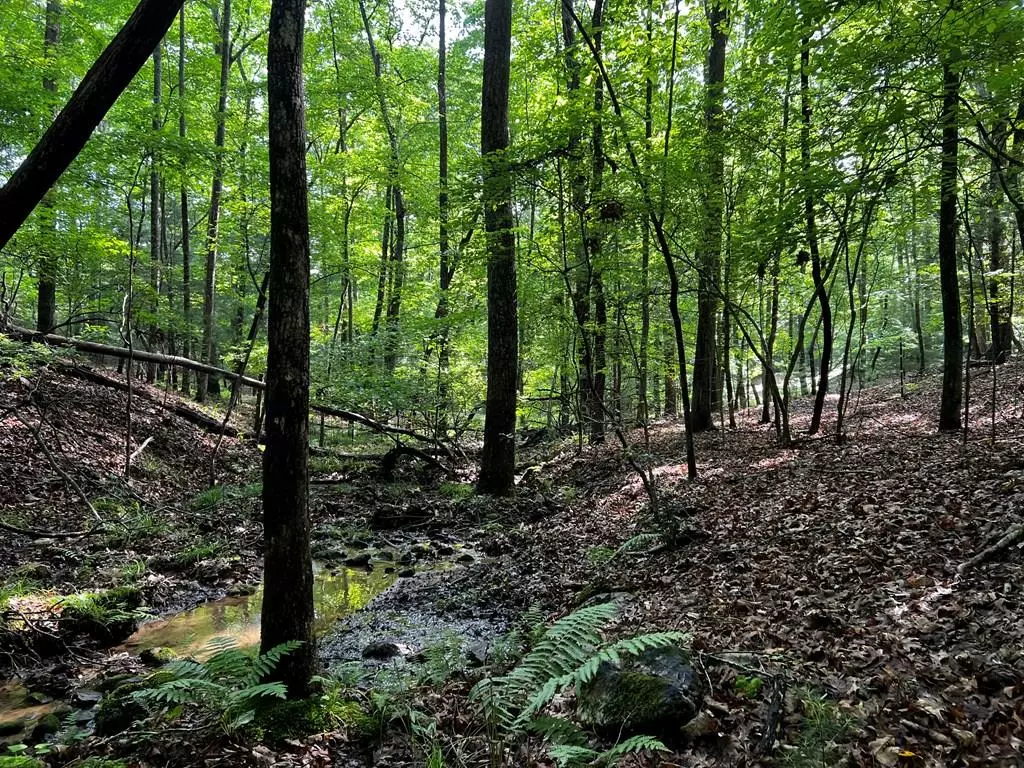 Blairsville, GA 30512,3.52 AC Payne Way