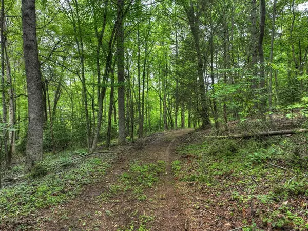 Blairsville, GA 30512,Tract C Captains Cove