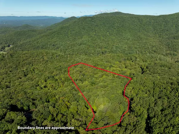 Ellijay, GA 30536,Lot 4 Wilderness Way