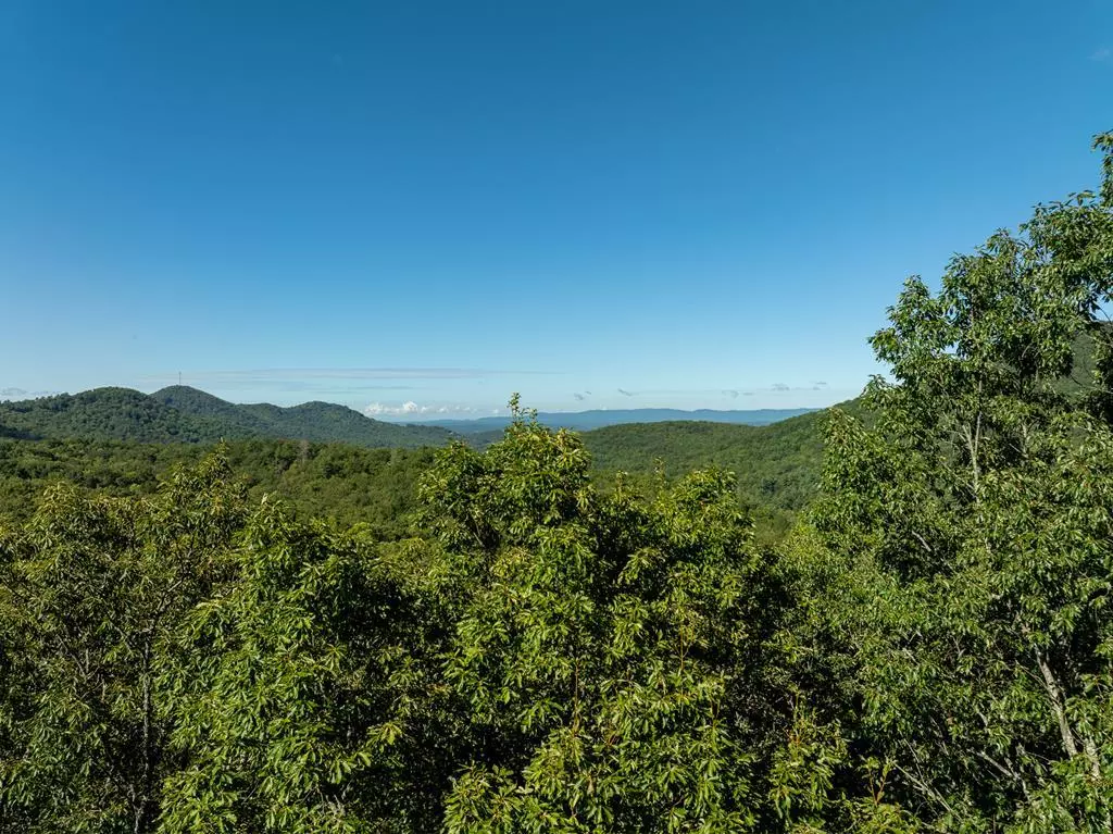 Ellijay, GA 30536,Lot 4 Wilderness Way