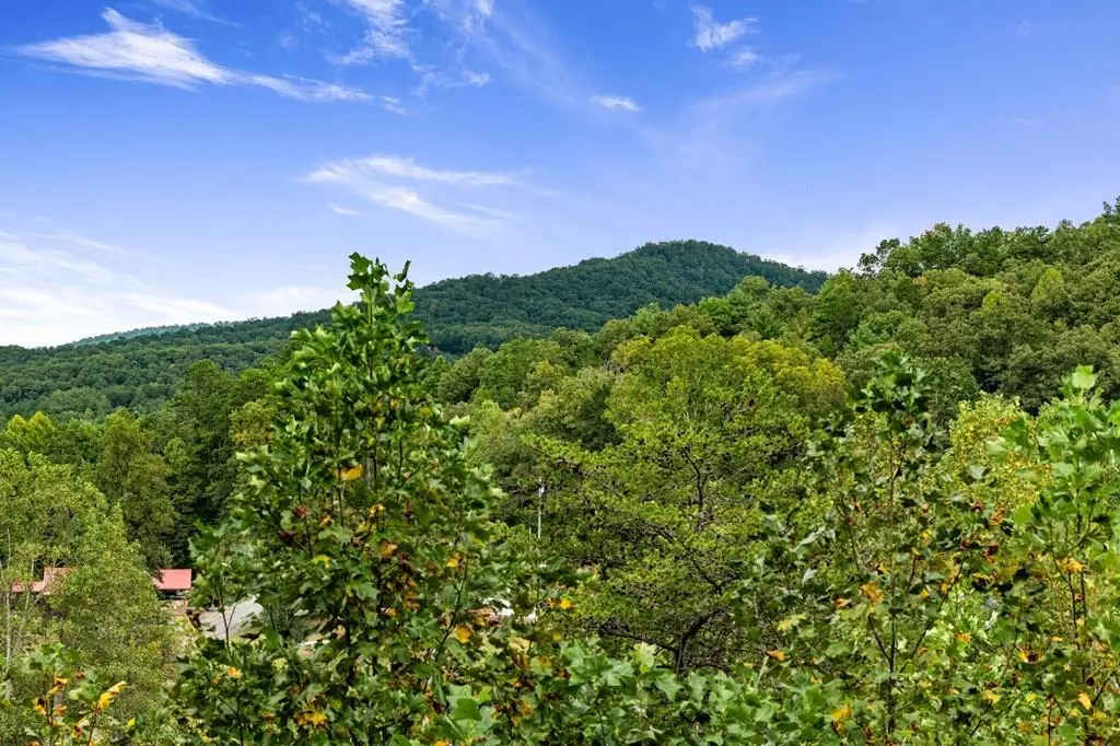 Mineral Bluff, GA 30559,6 Gilliam Road