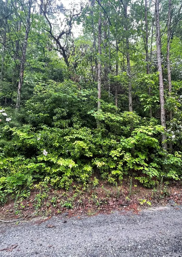 Ranger, GA 30734,586 Galaxy Way Ne