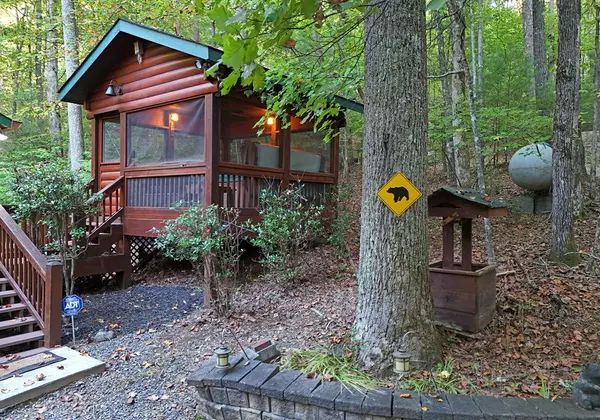 Cherry Log, GA 30522,151 Hatchet Trail