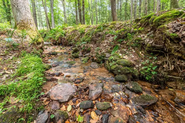Morganton, GA 30560,347 Dowd Road