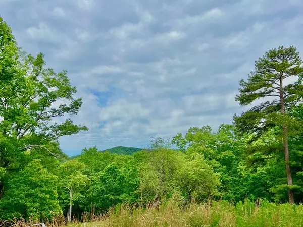 Morganton, GA 30560,788 Beavers Drive