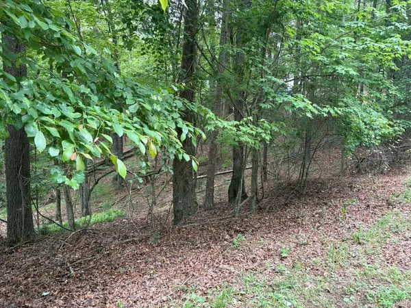 Ellijay, GA 30540,LOT 153 Etowah Drive