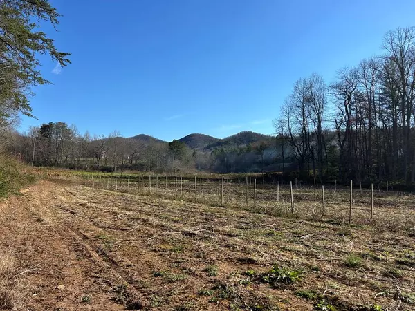 14.92 ac Bald Mountain Creek, Blairsville, GA 30512