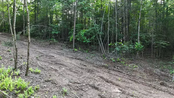 Ellijay, GA 30536,TR 2 New Hope Road E