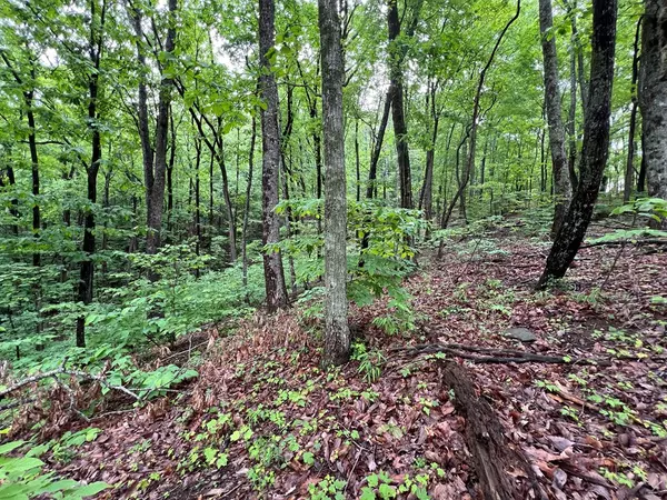 Jasper, GA 30143,245 Sassafras Mountain Trail
