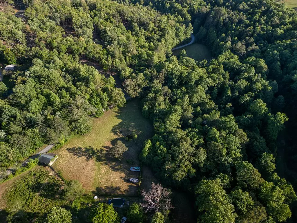 Morganton, GA 30560,4.59 AC Briar Cove Road