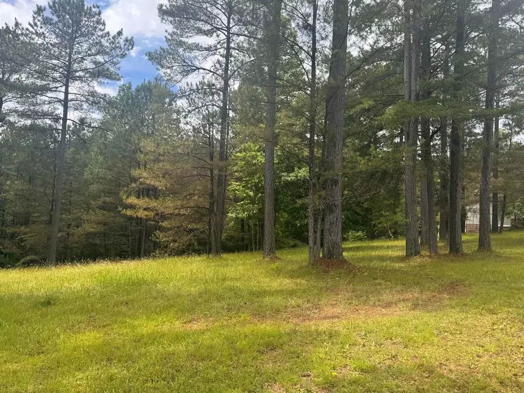 Blairsville, GA 30512,Lot 45 Sweetwater Lane