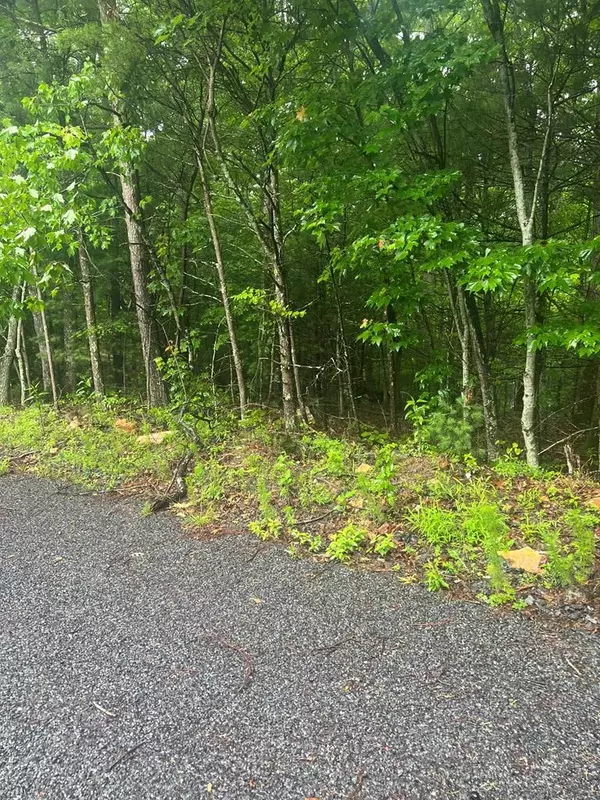 Ellijay, GA 30540,Tract 21 Old Parker Terrace