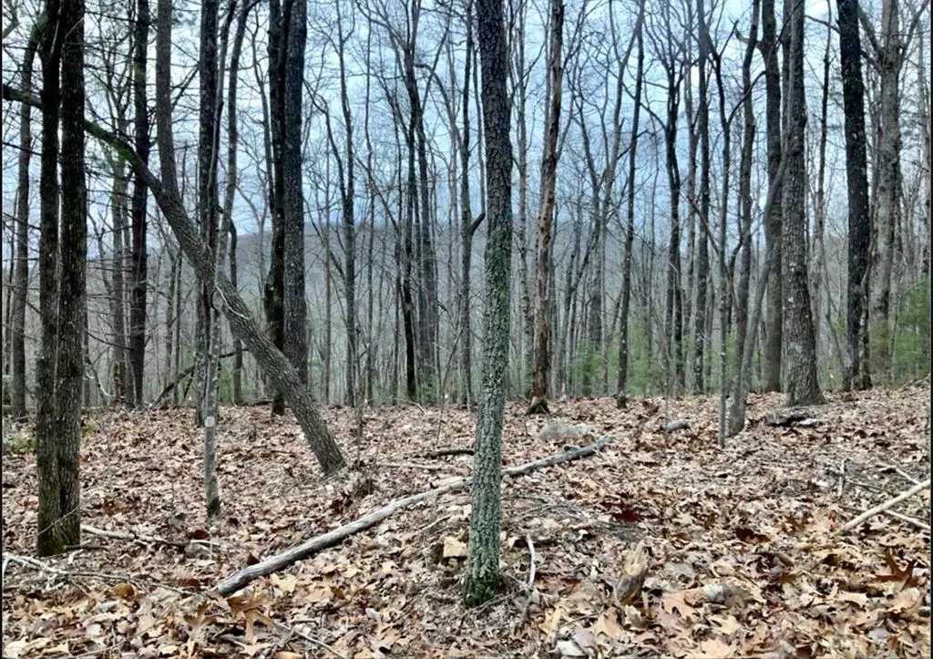 Ellijay, GA 30540,Tract 21 Old Parker Terrace