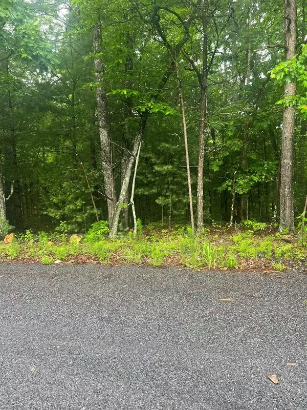 Ellijay, GA 30540,Tract 21 Old Parker Terrace