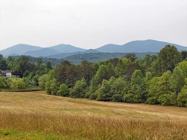 7.85 AC Lower Trackrock Road, Blairsville, GA 30512