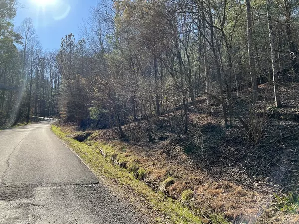 Ranger, GA 30734,Lot 821 Monody Lane