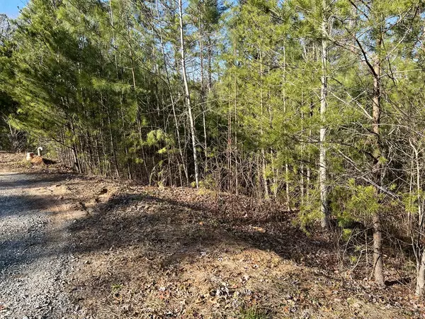 Talking Rock, GA 30175,Lot 1855 Hunter Drive