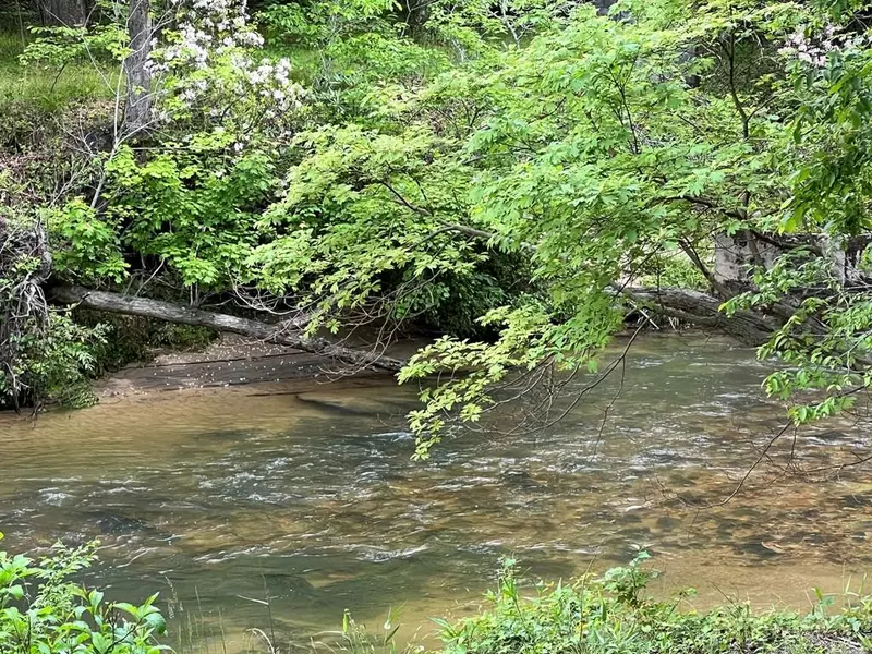 Lot 52 Madeline Way, Blairsville, GA 30512