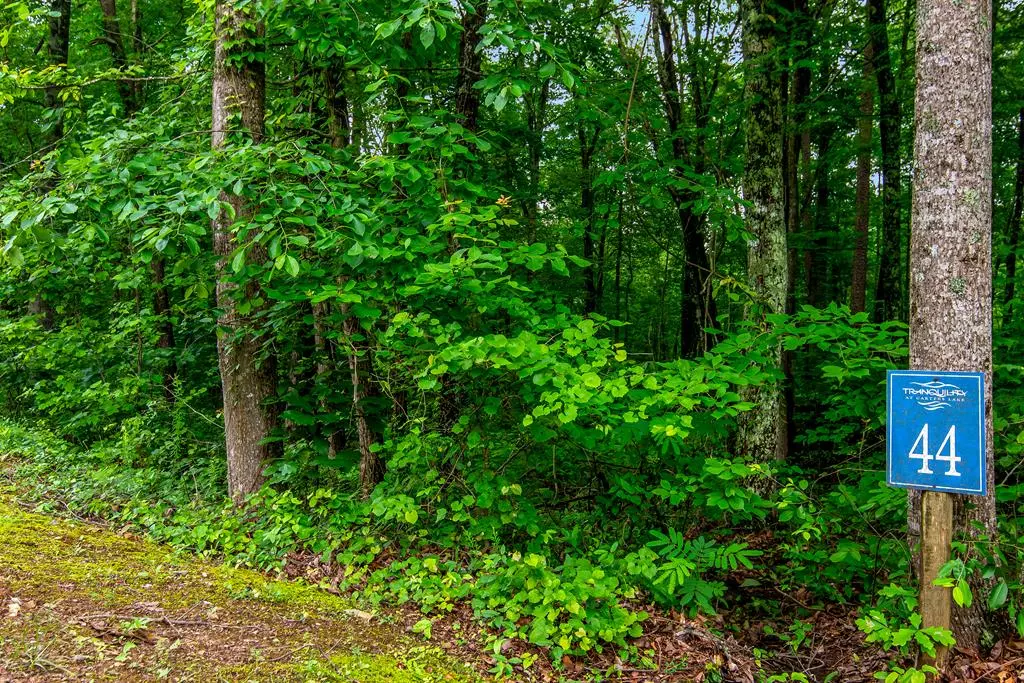 Ellijay, GA 30540,Lot 44 Harris Creek Drive