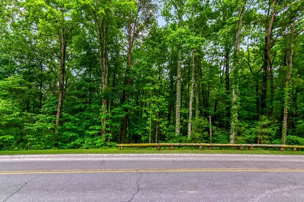 Ellijay, GA 30540,Lot 44 Harris Creek Drive