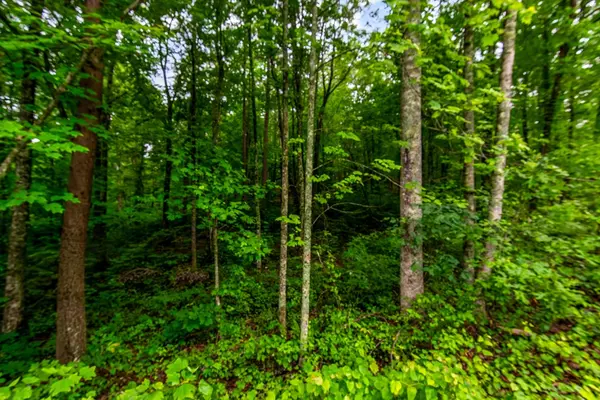 Ellijay, GA 30540,Lot 44 Harris Creek Drive