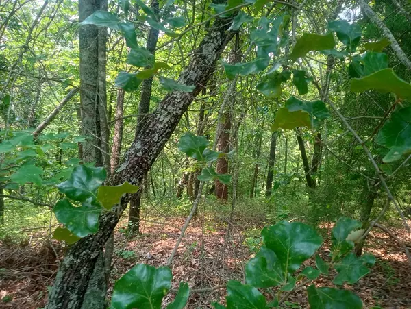Ranger, GA 30734,Lt 1227 Hilton Drive
